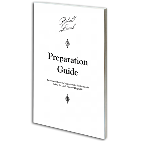 btl_facilitators_guide